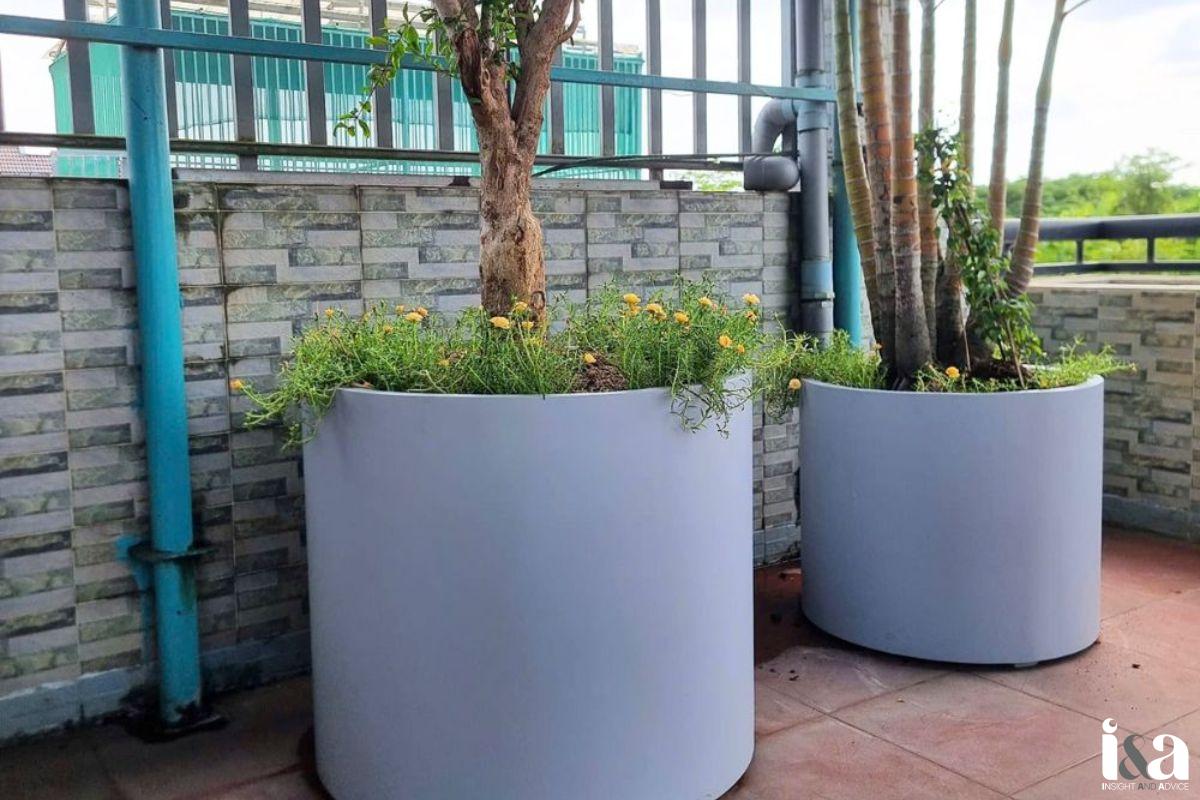 Xưởng sản xuất chậu cây compostie uy tín Furnio