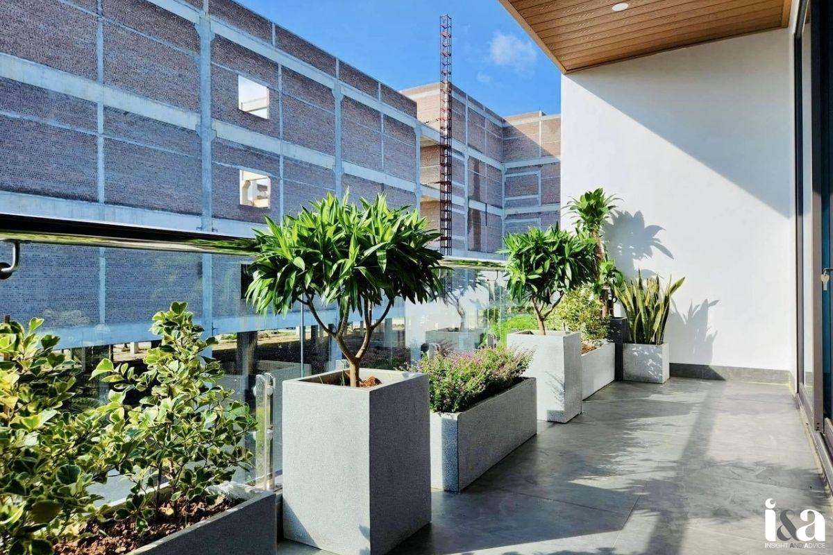 Chậu Cây Composite công ty Sài Gòn