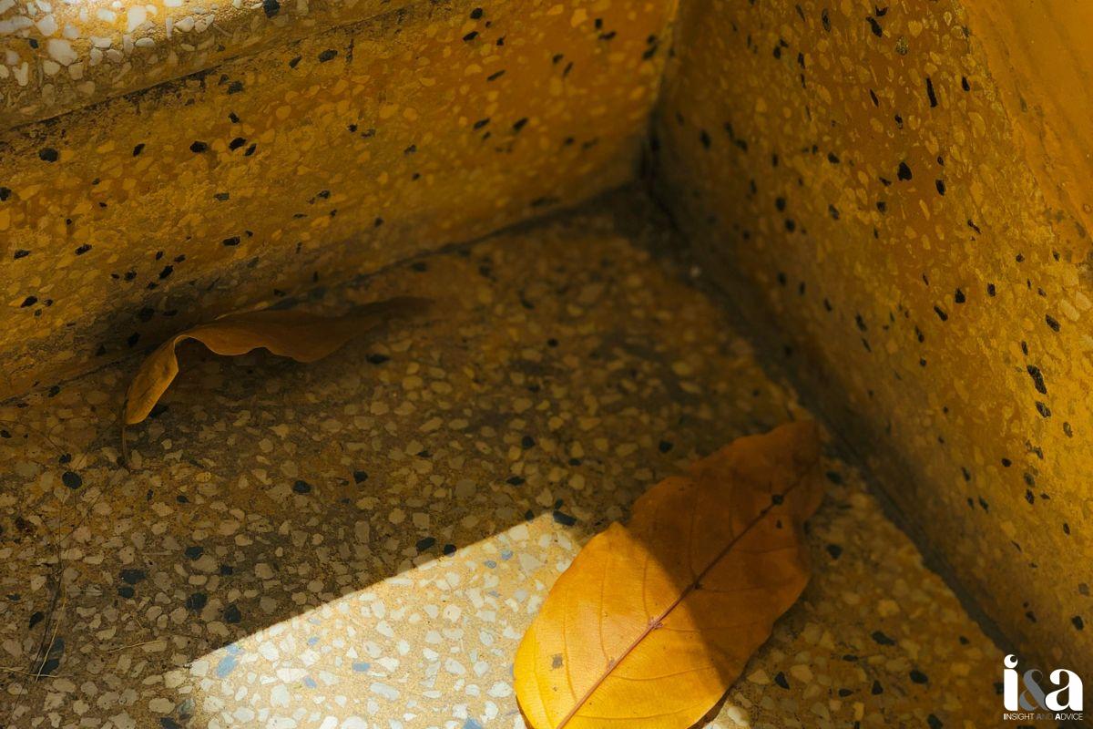 cầu thang terrazzo