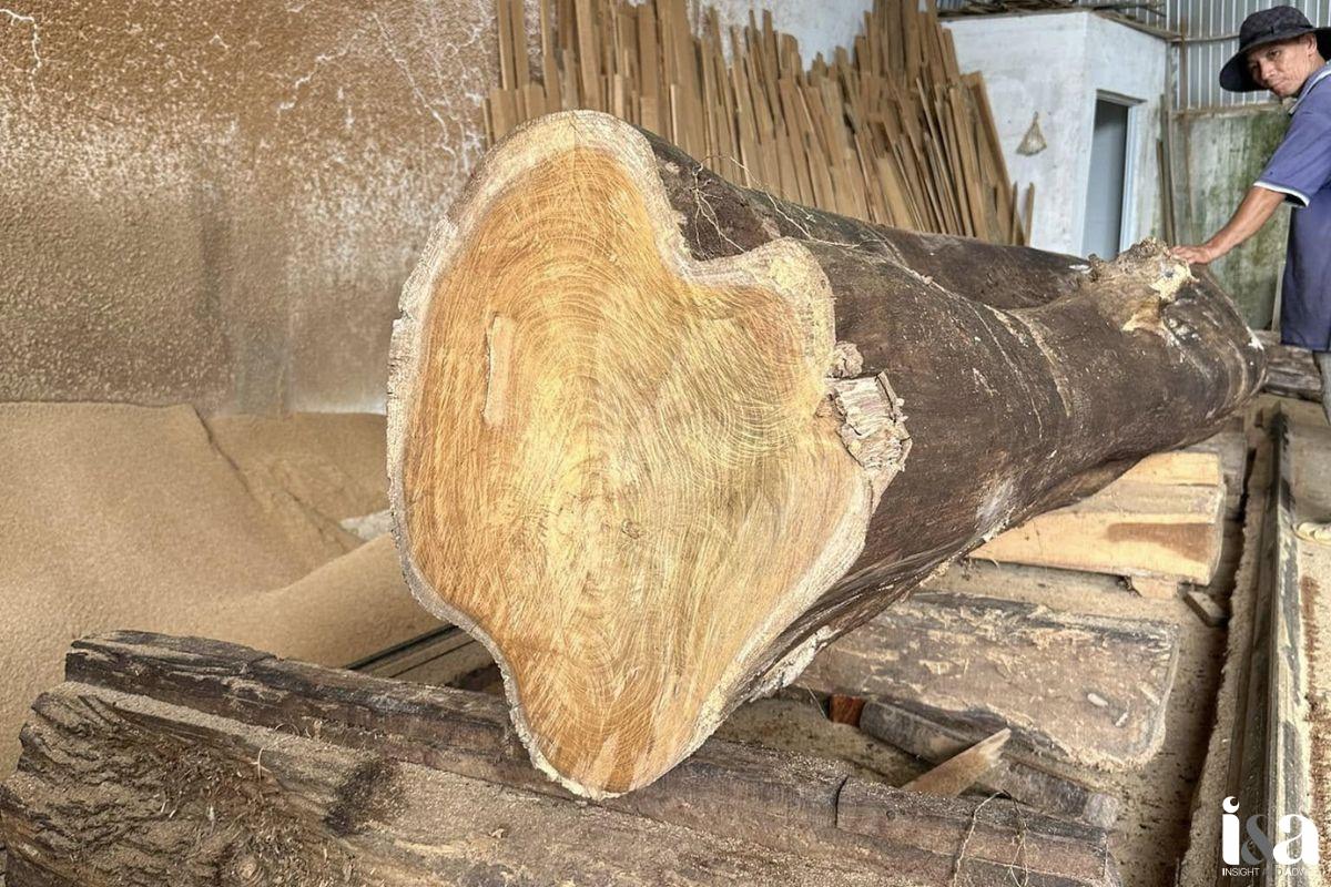 cây gỗ tự nhiên được chọn lọc kỹ càng