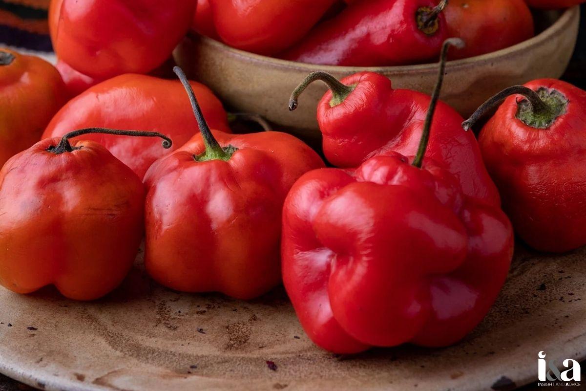 Ớt Rocoto