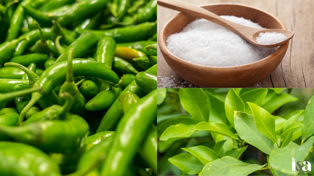 Nguyên liệu thực hiện Cách làm muối ớt xanh sữa đặc bằng cối, chày