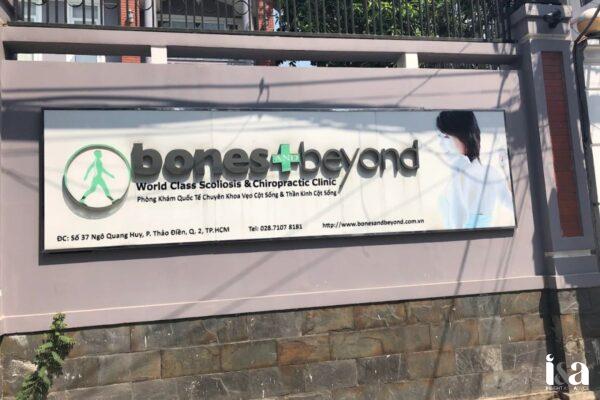 Bones and Beyond